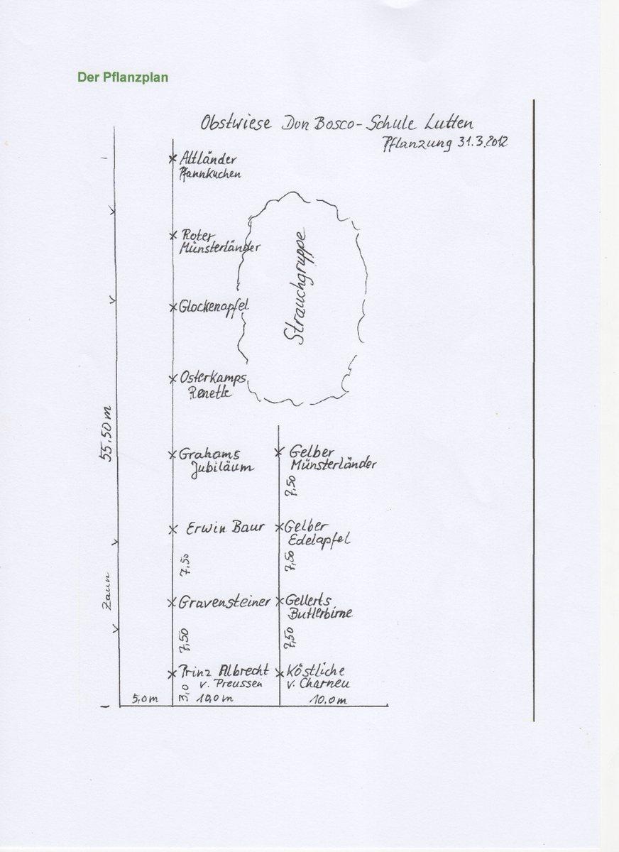 Obstwiese19 2