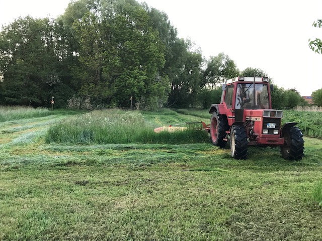 Bluestreifen20 1