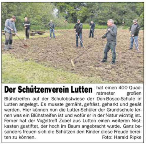 bluehsonntagsblatt20