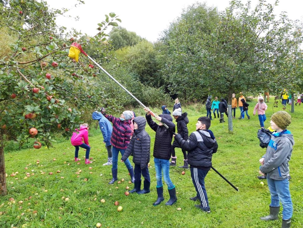 21 22Streuobstwiese15